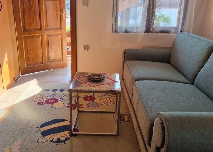 Daire Ana Lux Dobrosin